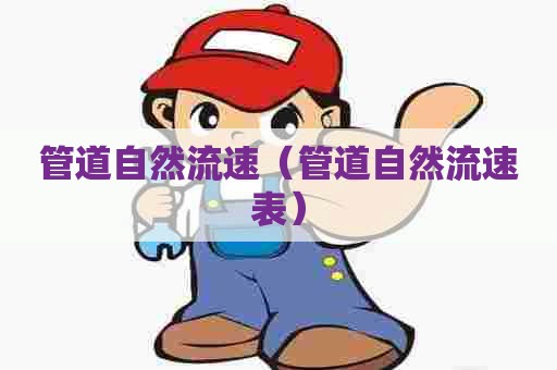 管道自然流速（管道自然流速表）