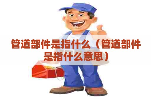 管道部件是指什么（管道部件是指什么意思）