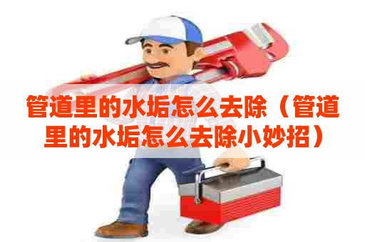 管道里的水垢怎么去除（管道里的水垢怎么去除小妙招）