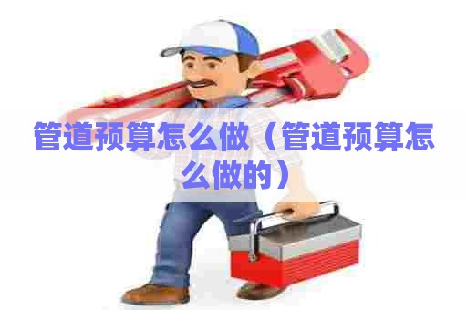 管道预算怎么做（管道预算怎么做的）