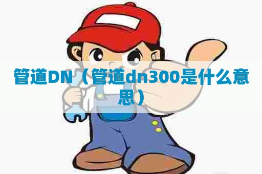 管道DN（管道dn300是什么意思）
