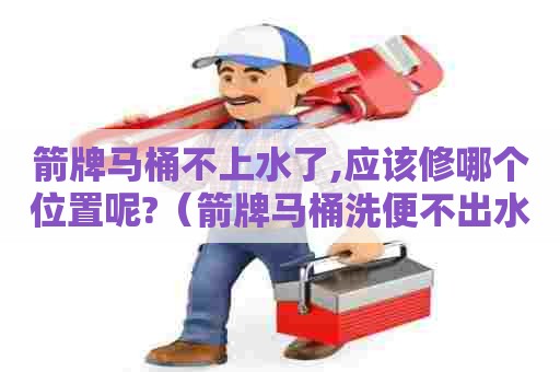 箭牌马桶不上水了,应该修哪个位置呢?（箭牌马桶洗便不出水怎么办）