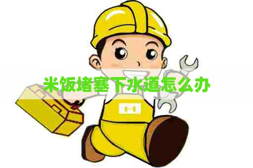 米饭堵塞下水道怎么办