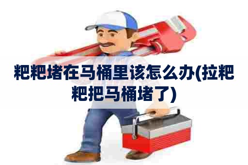 粑粑堵在马桶里该怎么办(拉粑粑把马桶堵了) 粑粑堵在马桶里该怎么办(拉粑粑把马桶堵了)