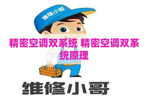 精密空调双系统 精密空调双系统原理