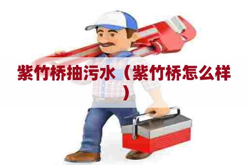 紫竹桥抽污水（紫竹桥怎么样）