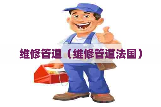 维修管道（维修管道法国）