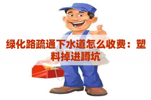 绿化路疏通下水道怎么收费：塑料掉进蹲坑