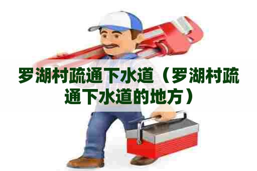 罗湖村疏通下水道（罗湖村疏通下水道的地方）