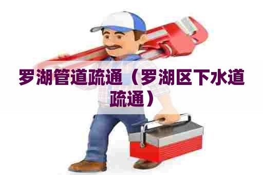 罗湖管道疏通(罗湖区下水道疏通) 罗湖管道疏通(罗湖区下水道疏通)