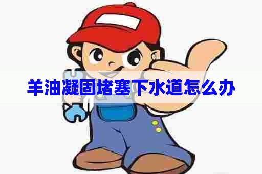 羊油凝固堵塞下水道怎么办
