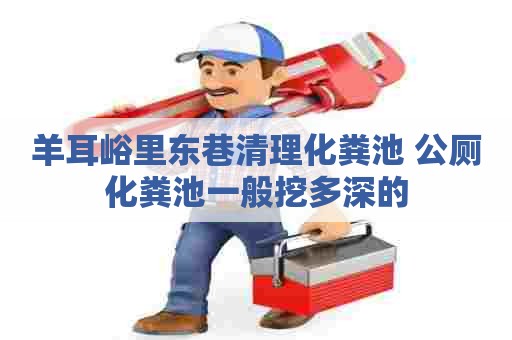 羊耳峪里东巷清理化粪池 公厕化粪池一般挖多深的
