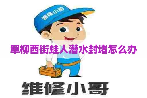 翠柳西街蛙人潜水封堵怎么办