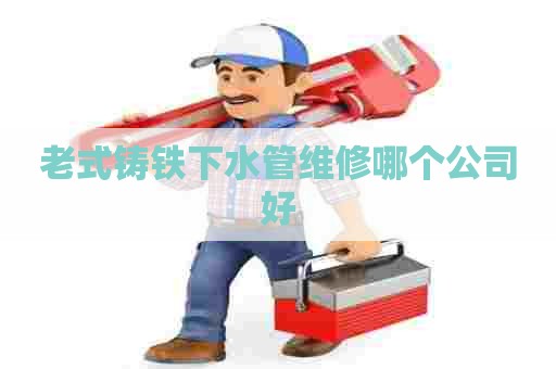 老式铸铁下水管维修哪个公司好 老式铸铁下水管维修哪个公司好