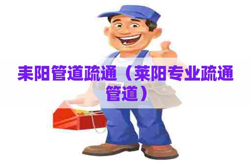 耒阳管道疏通（莱阳专业疏通管道）