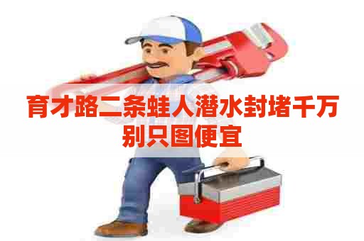 育才路二条蛙人潜水封堵千万别只图便宜