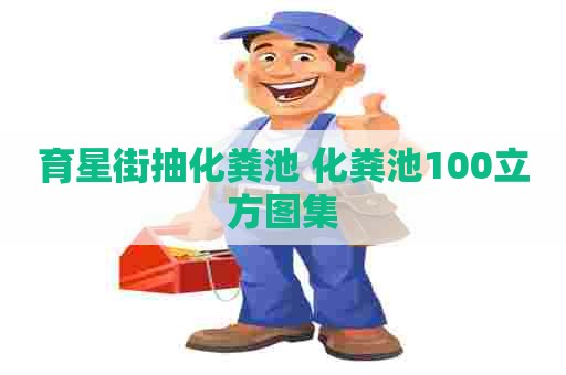 育星街抽化粪池 化粪池100立方图集