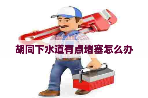 胡同下水道有点堵塞怎么办