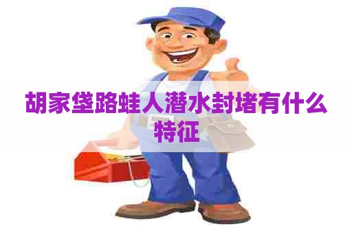 胡家垡路蛙人潜水封堵有什么特征