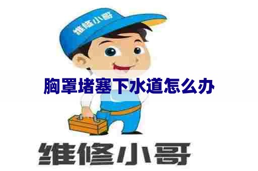 胸罩堵塞下水道怎么办