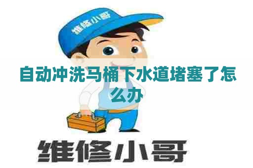自动冲洗马桶下水道堵塞了怎么办