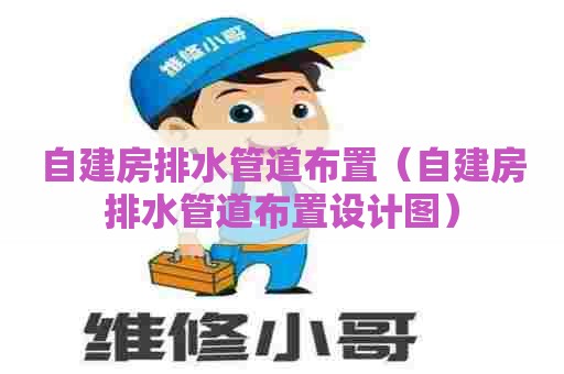 自建房排水管道布置（自建房排水管道布置设计图）
