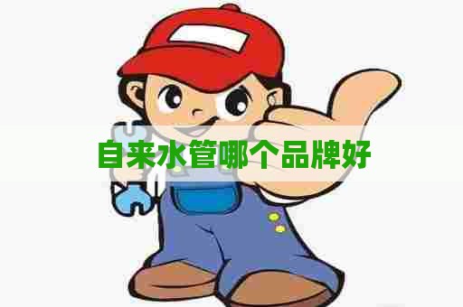 自来水管哪个品牌好