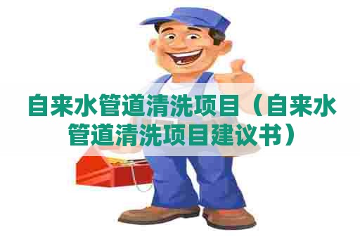 自来水管道清洗项目（自来水管道清洗项目建议书）