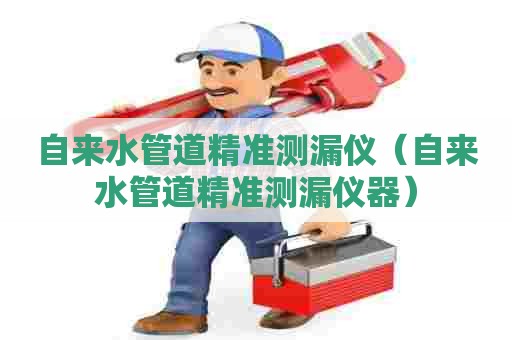 自来水管道精准测漏仪（自来水管道精准测漏仪器）
