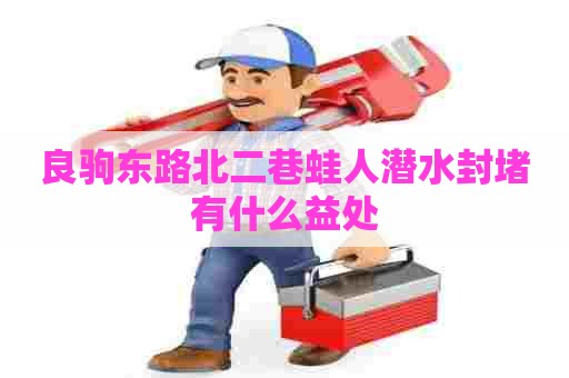 良驹东路北二巷蛙人潜水封堵有什么益处