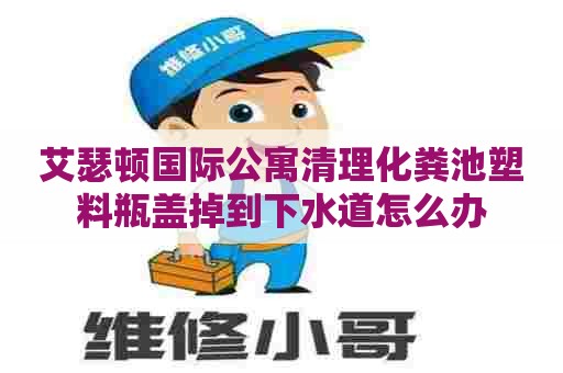 艾瑟顿国际公寓清理化粪池塑料瓶盖掉到下水道怎么办