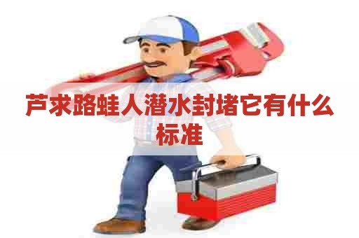 芦求路蛙人潜水封堵它有什么标准