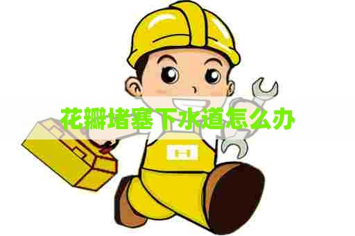 花瓣堵塞下水道怎么办