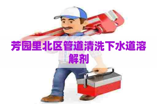 芳园里北区管道清洗下水道溶解剂