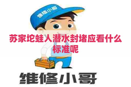 苏家坨蛙人潜水封堵应看什么标准呢