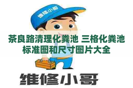 茶良路清理化粪池 三格化粪池标准图和尺寸图片大全
