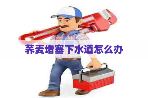 荞麦堵塞下水道怎么办