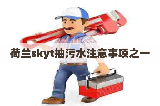 荷兰skyt抽污水注意事项之一