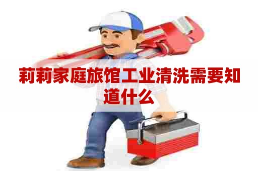 莉莉家庭旅馆工业清洗需要知道什么