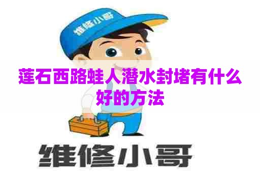 莲石西路蛙人潜水封堵有什么好的方法 莲石西路蛙人潜水封堵有什么好的方法