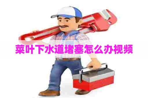 菜叶下水道堵塞怎么办视频