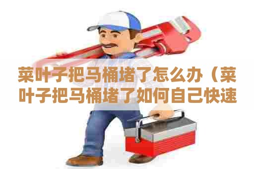 菜叶子把马桶堵了怎么办（菜叶子把马桶堵了如何自己快速疏通）