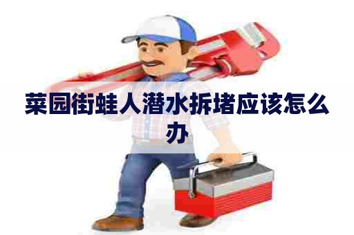 菜园街蛙人潜水拆堵应该怎么办