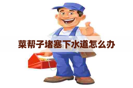 菜帮子堵塞下水道怎么办