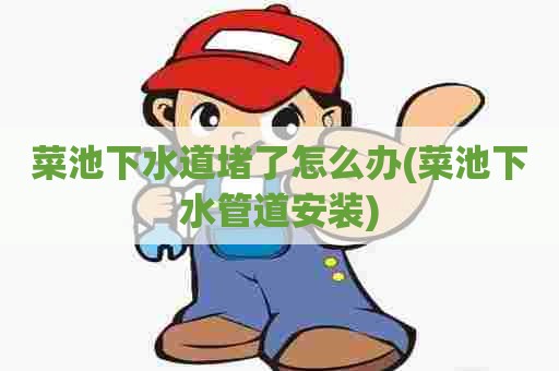菜池下水道堵了怎么办(菜池下水管道安装)