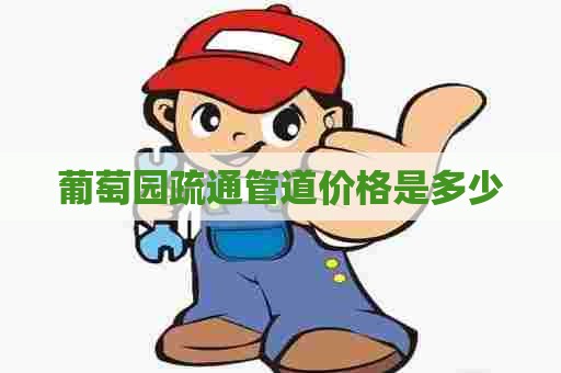 葡萄园疏通管道价格是多少 葡萄园疏通管道价格是多少