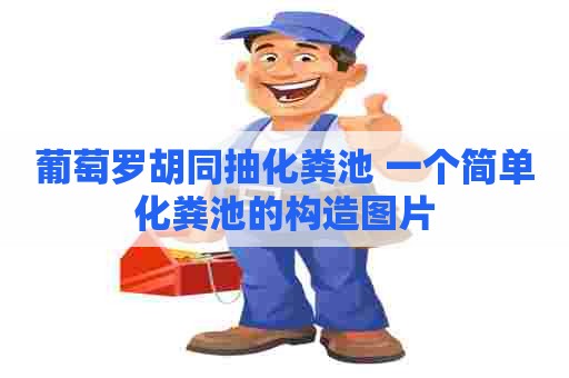 葡萄罗胡同抽化粪池 一个简单化粪池的构造图片