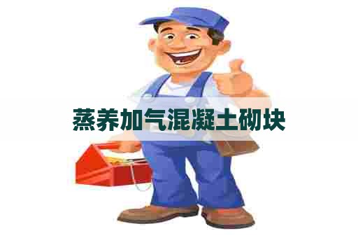 蒸养加气混凝土砌块 蒸养加气混凝土砌块