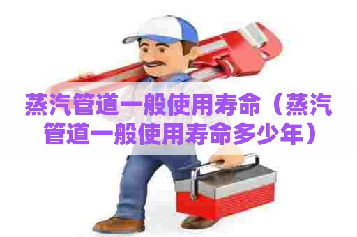 蒸汽管道一般使用寿命（蒸汽管道一般使用寿命多少年）