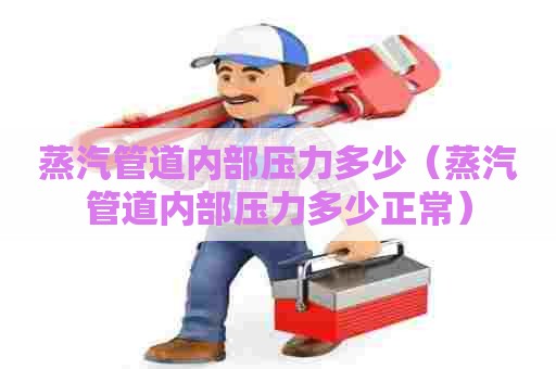 蒸汽管道内部压力多少（蒸汽管道内部压力多少正常）